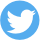 Twitter Icon